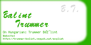 balint trummer business card